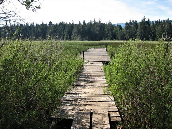 Hamilton Marsh